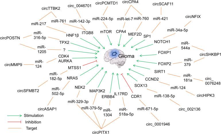 https://cdn.ncbi.nlm.nih.gov/pmc/blobs/fea1/8117106/f5b77515b8c5/fgene-12-675498-g003.jpg