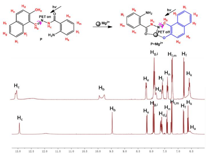 https://cdn.ncbi.nlm.nih.gov/pmc/blobs/fea3/8122791/9ff4bac8a3ac/molecules-26-02457-g005.jpg