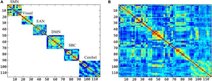 https://cdn.ncbi.nlm.nih.gov/pmc/blobs/fea4/8867086/5b863d659be7/fnins-15-810431-g011.jpg