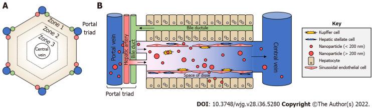 https://cdn.ncbi.nlm.nih.gov/pmc/blobs/fea4/9521517/00d529e1b9d2/WJG-28-5280-g003.jpg