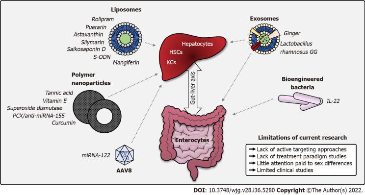 https://cdn.ncbi.nlm.nih.gov/pmc/blobs/fea4/9521517/07ba13429374/WJG-28-5280-g005.jpg