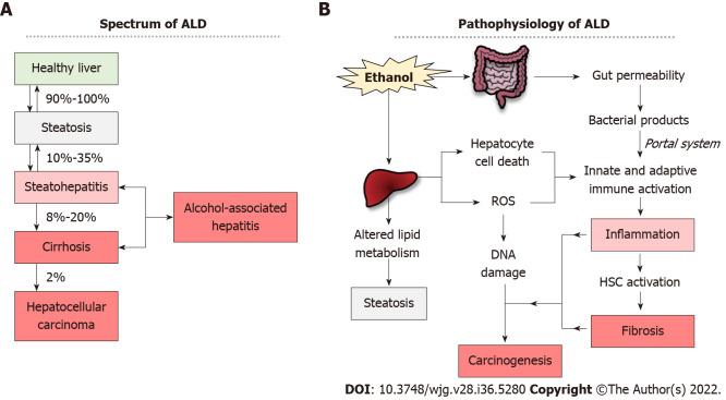 https://cdn.ncbi.nlm.nih.gov/pmc/blobs/fea4/9521517/096136357c9f/WJG-28-5280-g001.jpg