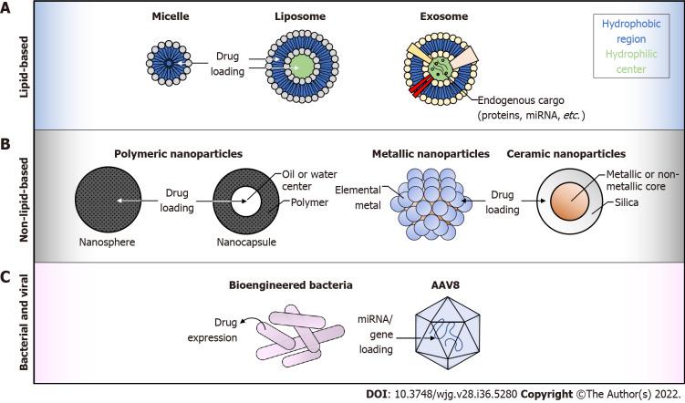 https://cdn.ncbi.nlm.nih.gov/pmc/blobs/fea4/9521517/16413b9721ee/WJG-28-5280-g002.jpg