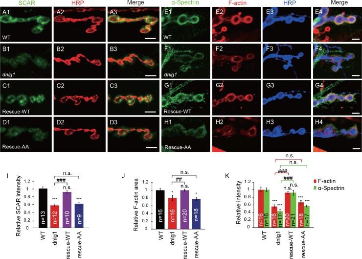 https://cdn.ncbi.nlm.nih.gov/pmc/blobs/fea5/5873926/8c925c097d4b/elife-30457-fig5.jpg