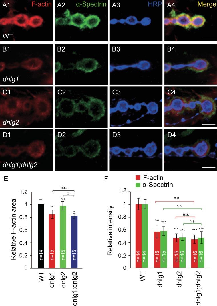 https://cdn.ncbi.nlm.nih.gov/pmc/blobs/fea5/5873926/be1b6c2a7d32/elife-30457-fig1.jpg