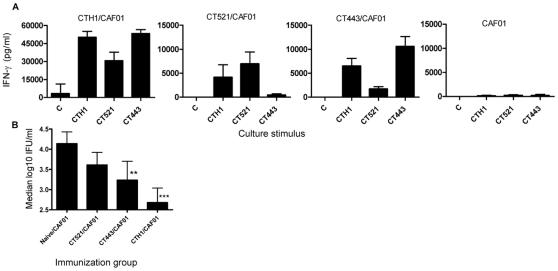 https://cdn.ncbi.nlm.nih.gov/pmc/blobs/fea7/2874006/3ddaa0172a1f/pone.0010768.g002.jpg