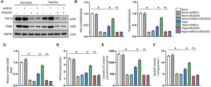 https://cdn.ncbi.nlm.nih.gov/pmc/blobs/fea9/9081506/a367daad329c/fcvm-09-821317-g0007.jpg