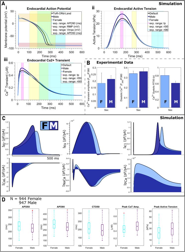 https://cdn.ncbi.nlm.nih.gov/pmc/blobs/feaa/12391824/6acf89c7c2fd/gr2.jpg