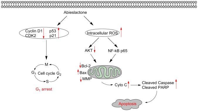 https://cdn.ncbi.nlm.nih.gov/pmc/blobs/feaa/4263740/389f60728a43/pone.0115151.g008.jpg