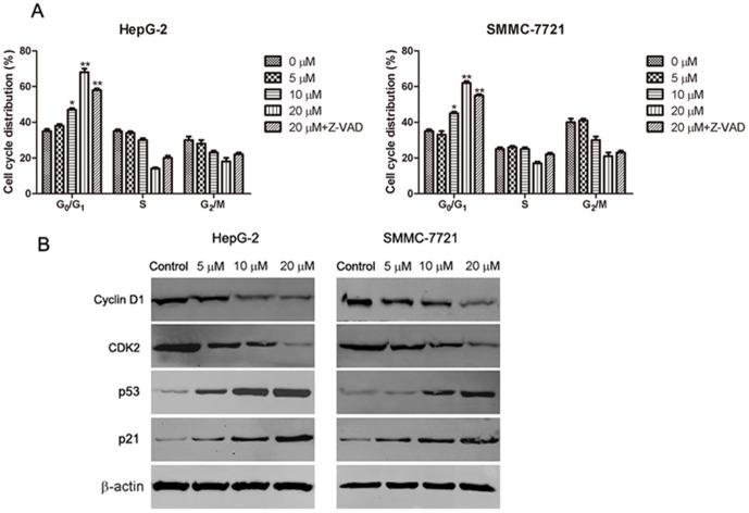 https://cdn.ncbi.nlm.nih.gov/pmc/blobs/feaa/4263740/9a0e9c946f29/pone.0115151.g004.jpg