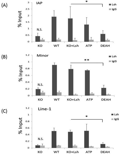 https://cdn.ncbi.nlm.nih.gov/pmc/blobs/feab/4330352/062029da6f96/gku1371fig3.jpg