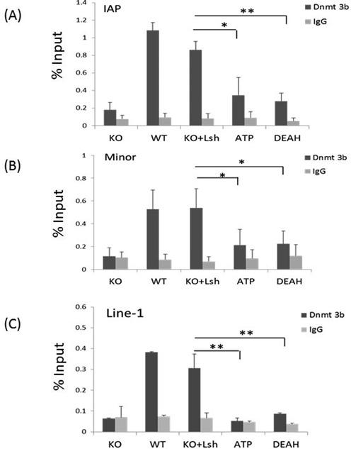 https://cdn.ncbi.nlm.nih.gov/pmc/blobs/feab/4330352/0efca831fede/gku1371fig4.jpg