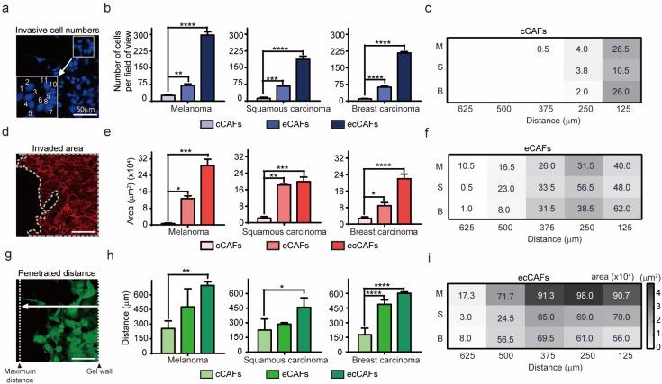 https://cdn.ncbi.nlm.nih.gov/pmc/blobs/fead/7662577/105317208ca0/ijms-21-08153-g001.jpg