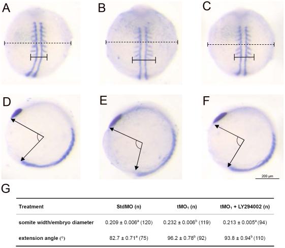 https://cdn.ncbi.nlm.nih.gov/pmc/blobs/feae/3073981/30e027772526/pone.0018702.g007.jpg