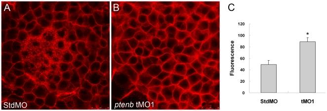 https://cdn.ncbi.nlm.nih.gov/pmc/blobs/feae/3073981/45963bf17aa2/pone.0018702.g010.jpg