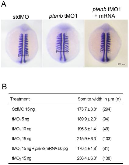 https://cdn.ncbi.nlm.nih.gov/pmc/blobs/feae/3073981/edb7c0ba2188/pone.0018702.g005.jpg