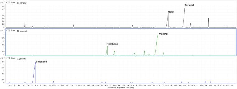 https://cdn.ncbi.nlm.nih.gov/pmc/blobs/feaf/12392280/020c40225844/fpara-04-1610965-g001.jpg