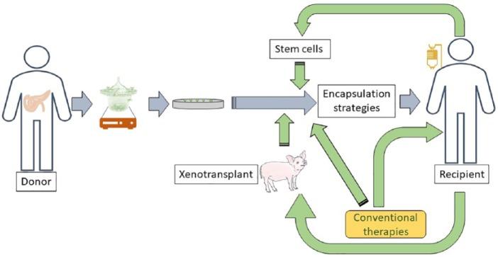 https://cdn.ncbi.nlm.nih.gov/pmc/blobs/feaf/6501476/2264dcf0b79f/10.1177_1179551419844521-fig3.jpg