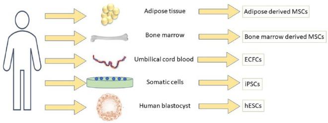 https://cdn.ncbi.nlm.nih.gov/pmc/blobs/feaf/6501476/47172d74ef82/10.1177_1179551419844521-fig2.jpg
