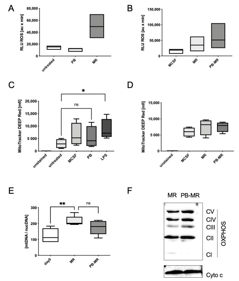 https://cdn.ncbi.nlm.nih.gov/pmc/blobs/feaf/7967158/f42140bc4051/ijms-22-02779-g005.jpg