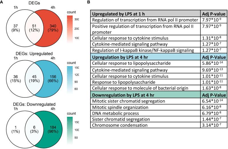 https://cdn.ncbi.nlm.nih.gov/pmc/blobs/feaf/9669445/0aca9e70c0be/fimmu-13-993614-g005.jpg