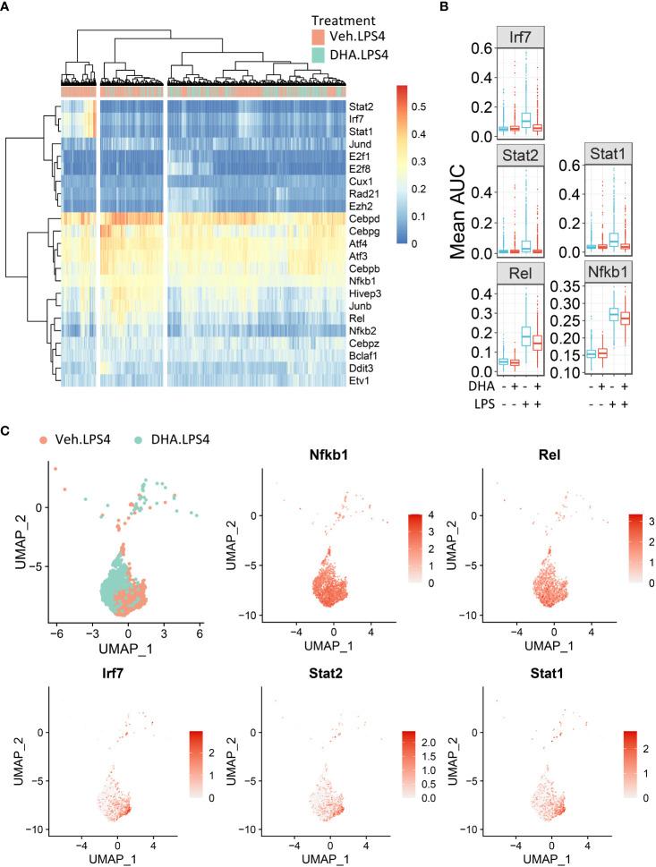 https://cdn.ncbi.nlm.nih.gov/pmc/blobs/feaf/9669445/6e277329ace6/fimmu-13-993614-g010.jpg