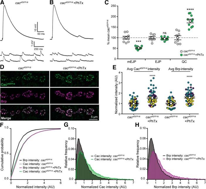 https://cdn.ncbi.nlm.nih.gov/pmc/blobs/feb0/6435823/5a5a80e50af1/zns9991915040005.jpg