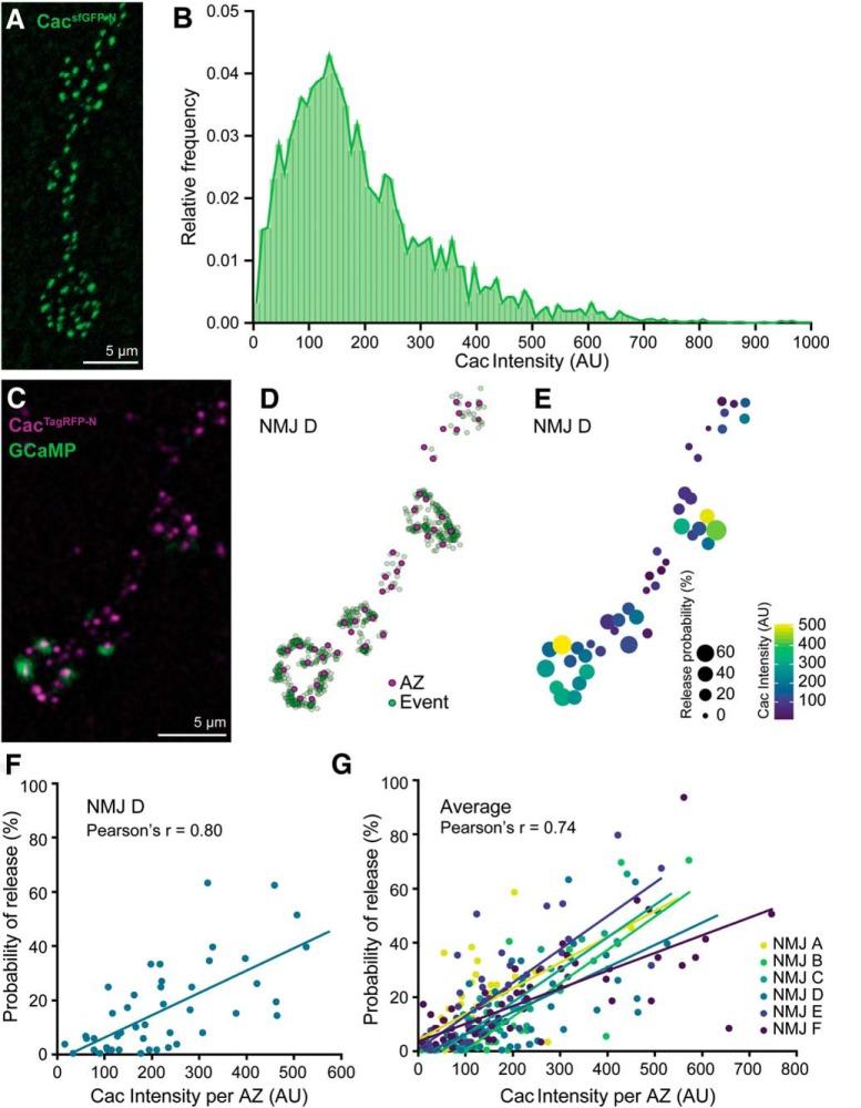 https://cdn.ncbi.nlm.nih.gov/pmc/blobs/feb0/6435823/ea9b0a757c1e/zns9991915040003.jpg