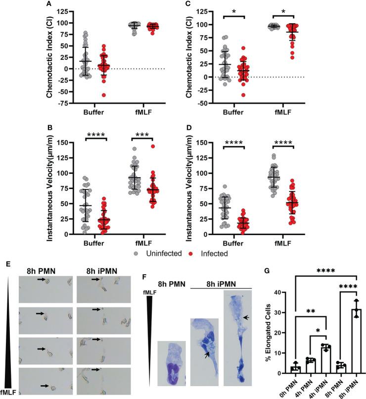 https://cdn.ncbi.nlm.nih.gov/pmc/blobs/feb0/9630475/4c35eddcabec/fimmu-13-1038349-g001.jpg