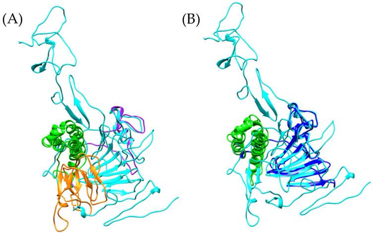 https://cdn.ncbi.nlm.nih.gov/pmc/blobs/feb1/12197698/390ea7839f5a/toxins-17-00262-g006.jpg