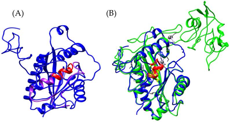 https://cdn.ncbi.nlm.nih.gov/pmc/blobs/feb1/12197698/ceea01ae3016/toxins-17-00262-g014.jpg