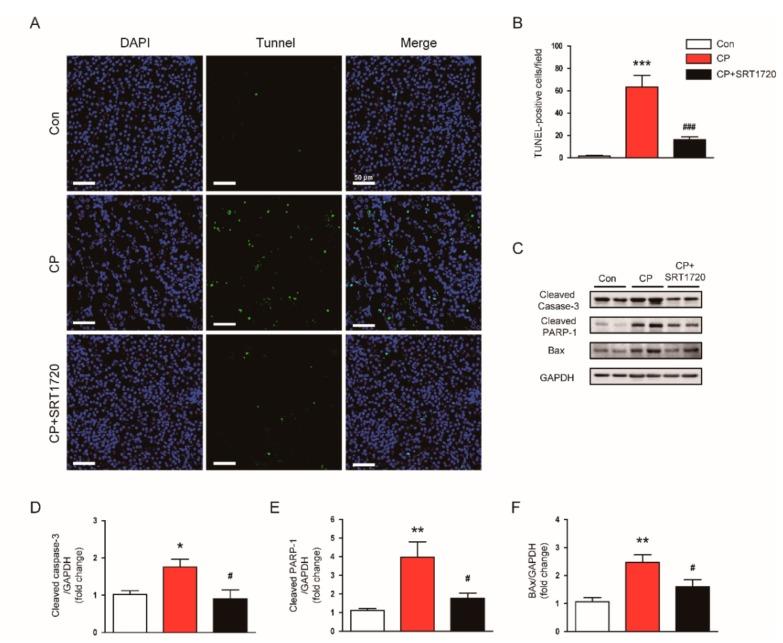 https://cdn.ncbi.nlm.nih.gov/pmc/blobs/feb1/6720310/00e71b140289/antioxidants-08-00322-g004.jpg