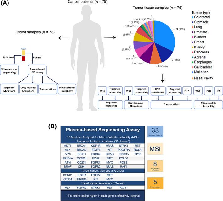 https://cdn.ncbi.nlm.nih.gov/pmc/blobs/feb3/8571755/44ee8c7cffcf/ONCO-26-e1971-g001.jpg