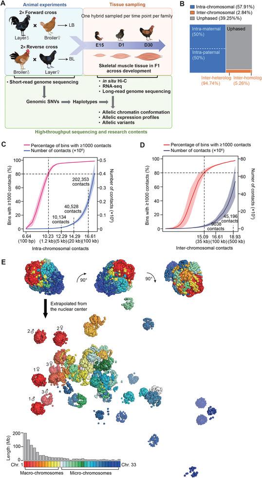 https://cdn.ncbi.nlm.nih.gov/pmc/blobs/feb4/11200017/254ac18315eb/ADVS-11-2305706-g004.jpg