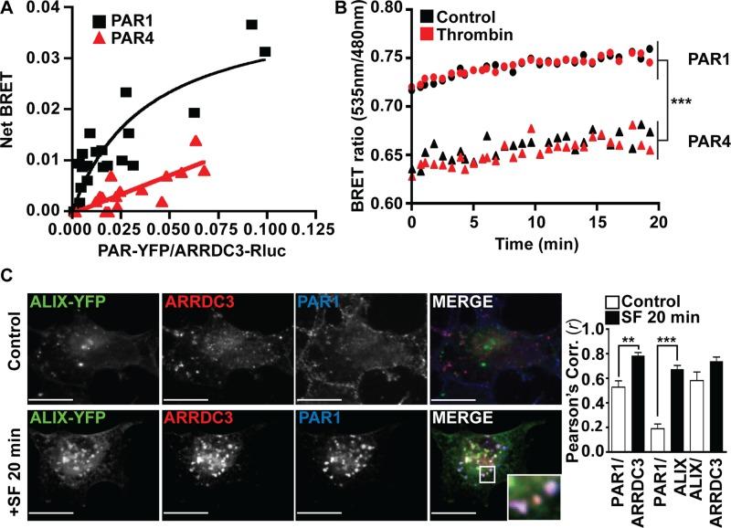 https://cdn.ncbi.nlm.nih.gov/pmc/blobs/feb7/4678022/af998de7c345/4660fig1.jpg