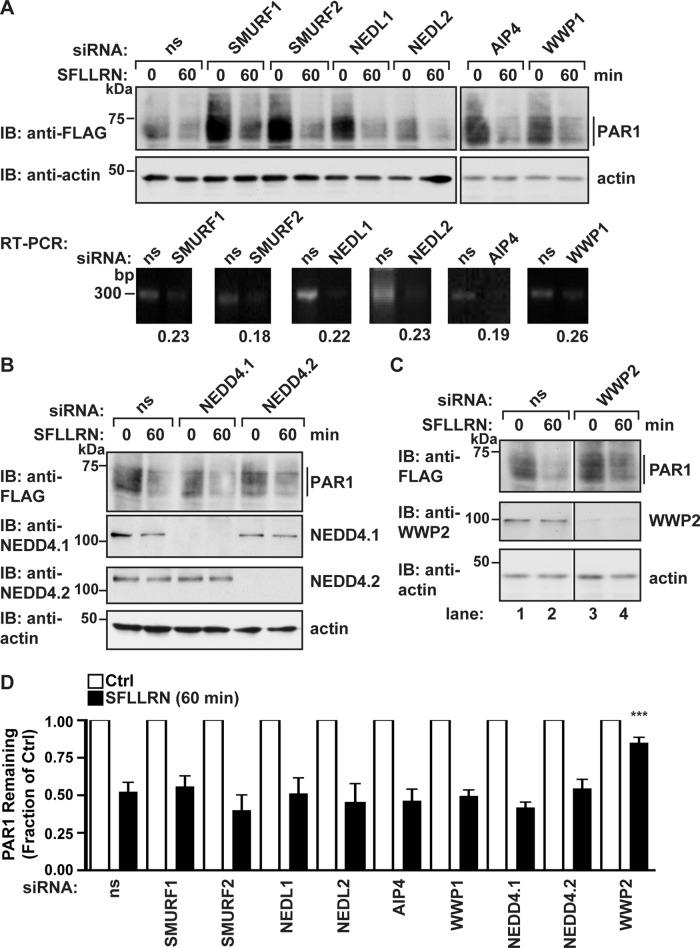 https://cdn.ncbi.nlm.nih.gov/pmc/blobs/feb7/4678022/b500cff2168a/4660fig7.jpg