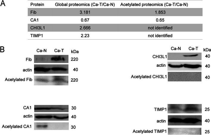 https://cdn.ncbi.nlm.nih.gov/pmc/blobs/feb8/10131382/fb0a6ed14f24/12953_2023_207_Fig4_HTML.jpg