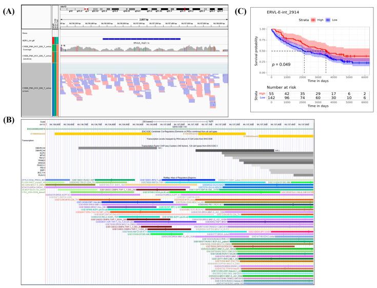 https://cdn.ncbi.nlm.nih.gov/pmc/blobs/feb8/10377948/15b7e6fd8327/cancers-15-03664-g002.jpg