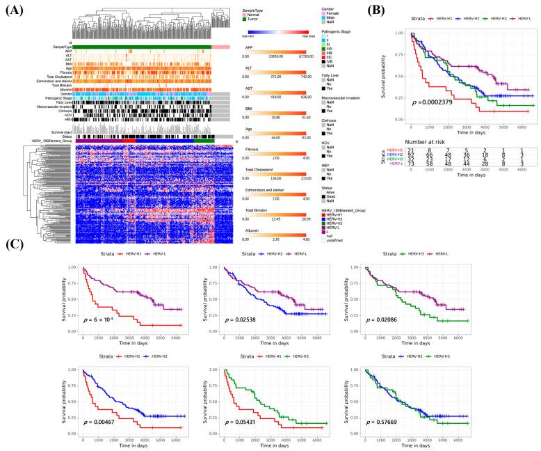 https://cdn.ncbi.nlm.nih.gov/pmc/blobs/feb8/10377948/382c87ddad7b/cancers-15-03664-g003.jpg