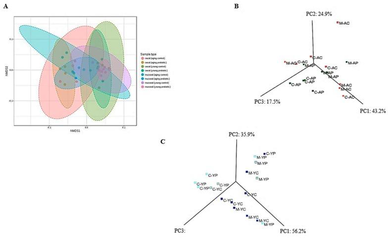 https://cdn.ncbi.nlm.nih.gov/pmc/blobs/feb8/6627711/8365e4aaa3d2/nutrients-11-01297-g005.jpg
