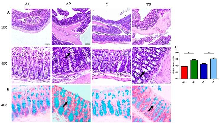 https://cdn.ncbi.nlm.nih.gov/pmc/blobs/feb8/6627711/97ac60ce2b69/nutrients-11-01297-g002.jpg