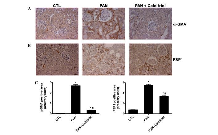 https://cdn.ncbi.nlm.nih.gov/pmc/blobs/feb9/4438961/4ed5b4d6ebcd/MMR-12-01-1009-g02.jpg