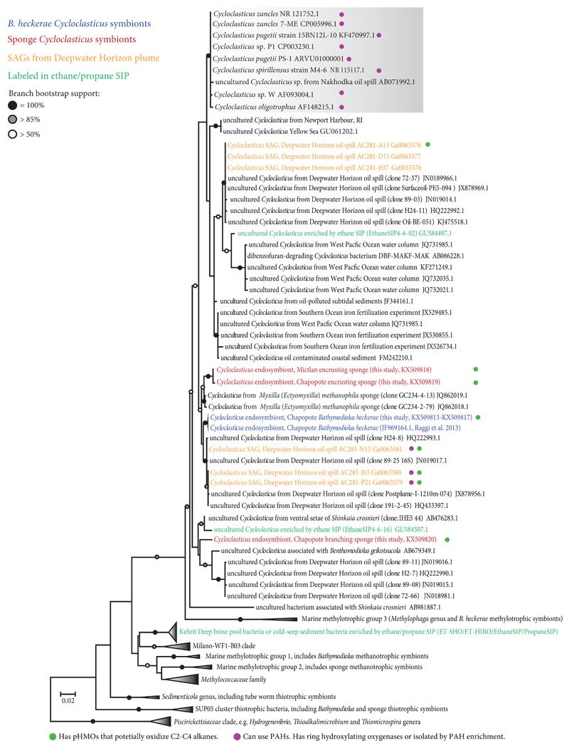 https://cdn.ncbi.nlm.nih.gov/pmc/blobs/feba/5490736/113b8476733a/emss-72759-f003.jpg