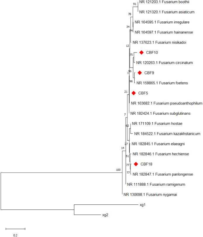 https://cdn.ncbi.nlm.nih.gov/pmc/blobs/febc/12101443/8055e6872059/peerj-13-19464-g002.jpg