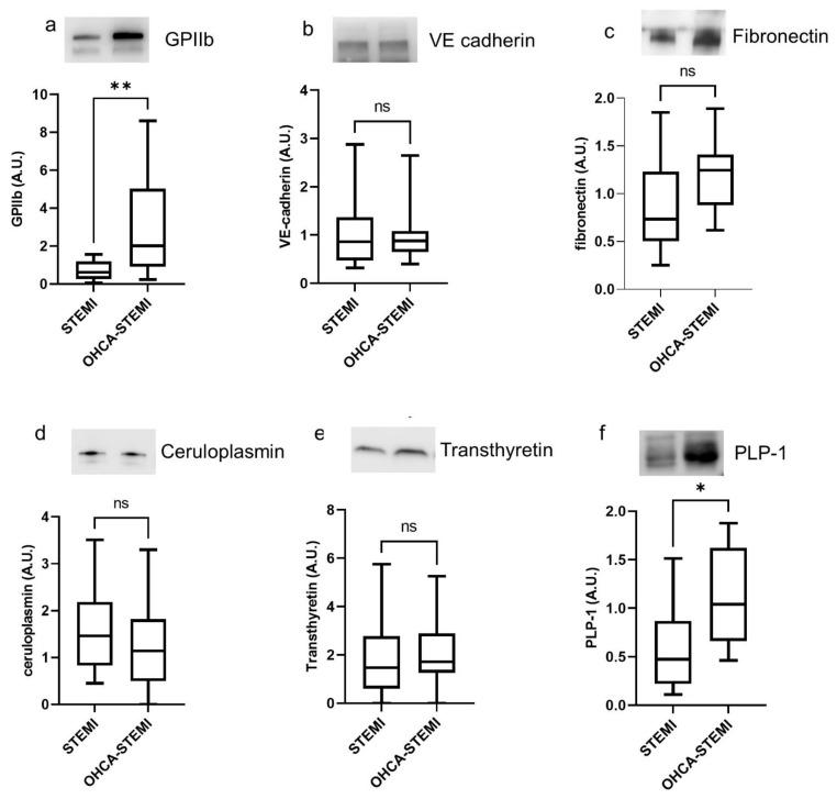 https://cdn.ncbi.nlm.nih.gov/pmc/blobs/febd/8347807/3d1f2cb631f9/ijms-22-08065-g004.jpg