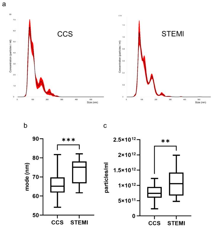 https://cdn.ncbi.nlm.nih.gov/pmc/blobs/febd/8347807/c11aea6cdafb/ijms-22-08065-g001.jpg
