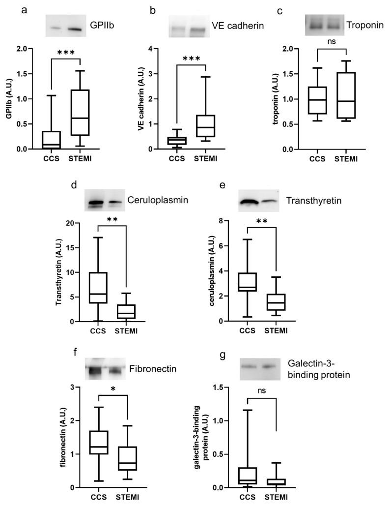https://cdn.ncbi.nlm.nih.gov/pmc/blobs/febd/8347807/ea0b958e903c/ijms-22-08065-g002.jpg