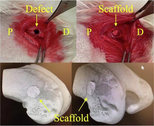 https://cdn.ncbi.nlm.nih.gov/pmc/blobs/febf/11371849/e130df7f93ce/10856_2024_6817_Fig2_HTML.jpg