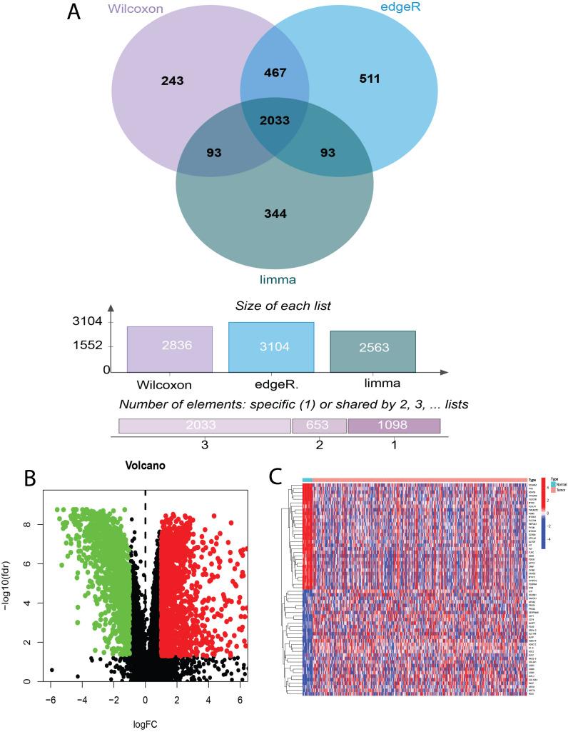 https://cdn.ncbi.nlm.nih.gov/pmc/blobs/fec0/12313568/1c5a85ab0afc/fimmu-16-1607098-g002.jpg