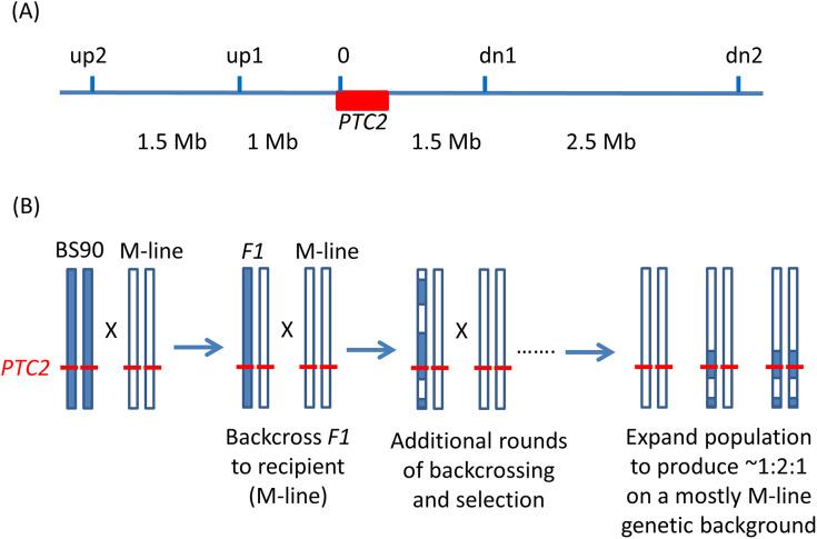 https://cdn.ncbi.nlm.nih.gov/pmc/blobs/fec0/9480060/9b53c652a84f/peerj-10-13971-g001.jpg